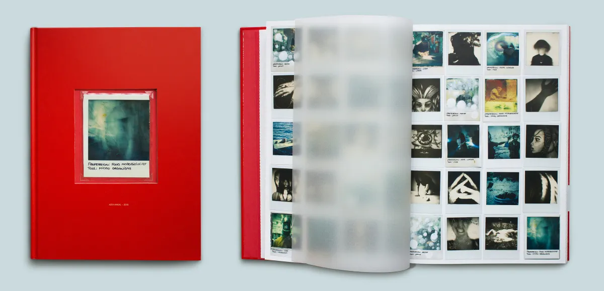 /media/polaroid-collaboration/Book ADCN 2016