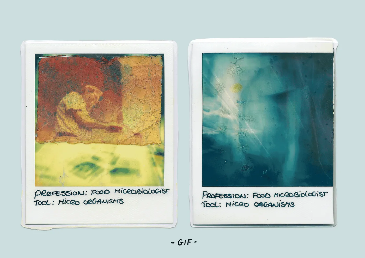 ADCN Polaroid 04