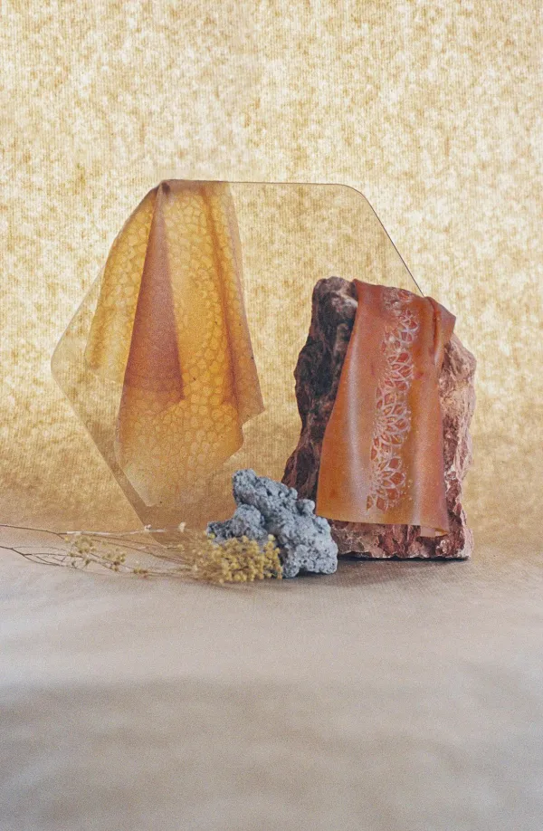 Side Projects - Melanie Schaap